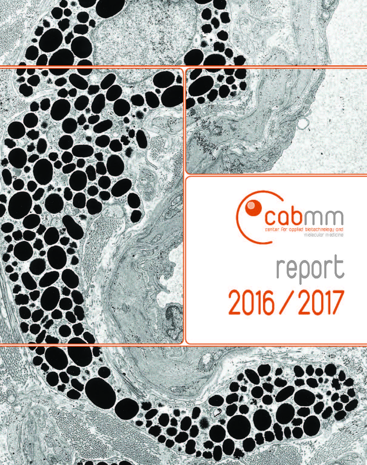 CABMM Report 2016/2017